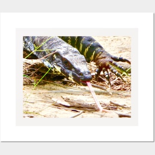 Goanna up Close! Posters and Art